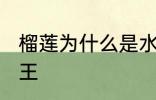 榴莲为什么是水果王 榴莲为何是水果王