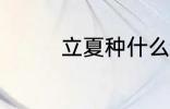 立夏种什么 立夏种的植物