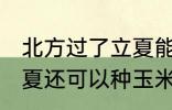 北方过了立夏能种玉米吗 北方过了立夏还可以种玉米吗