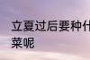 立夏过后要种什么菜 立夏过后种什么菜呢