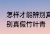 怎样才能辨别真假竹叶青 如何才能辨别真假竹叶青
