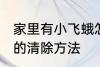 家里有小飞蛾怎么消灭 家里有小飞蛾的清除方法
