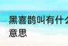 黑喜鹊叫有什么兆头 黑喜鹊叫是什么意思
