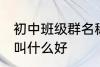 初中班级群名称大全 初中班级群名称叫什么好