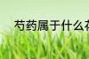 芍药属于什么花卉 芍药所属花卉