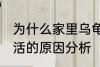 为什么家里乌龟养不活 家里乌龟养不活的原因分析