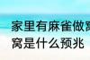 家里有麻雀做窝好不好 家里有麻雀做窝是什么预兆