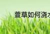 萱草如何浇水 萱草怎样浇水