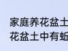 家庭养花盆土中有蚯蚓怎么办 家庭养花盆土中有蚯蚓的解决方法