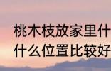 桃木枝放家里什么位置 桃木枝放家里什么位置比较好