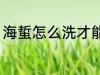 海蜇怎么洗才能洗干净 如何清洗海蜇