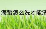 海蜇怎么洗才能洗干净 如何清洗海蜇