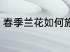 春季兰花如何施肥 春季兰花施肥方法