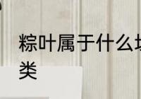 粽叶属于什么垃圾类型 粽叶的垃圾分类