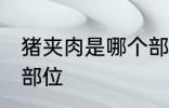 猪夹肉是哪个部位 猪夹肉是猪的哪个部位