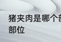 猪夹肉是哪个部位 猪夹肉是猪的哪个部位