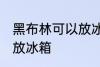 黑布林可以放冰箱吗 黑布林是否可以放冰箱