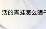 活的青蛙怎么晒干 活的青蛙如何晒干