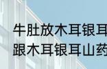 牛肚放木耳银耳山药炒可以吗 牛肚能跟木耳银耳山药一起炒吗