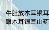 牛肚放木耳银耳山药炒可以吗 牛肚能跟木耳银耳山药一起炒吗