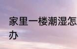 家里一楼潮湿怎么办 家里一楼潮湿咋办