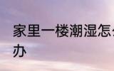家里一楼潮湿怎么办 家里一楼潮湿咋办