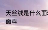 天丝绒是什么面料 天丝绒面料指哪种面料