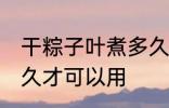 干粽子叶煮多久才能用 干粽子叶煮多久才可以用