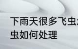 下雨天很多飞虫怎么办 下雨天很多飞虫如何处理