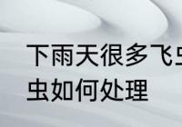下雨天很多飞虫怎么办 下雨天很多飞虫如何处理