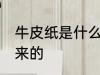 牛皮纸是什么做的 牛皮纸是什么做出来的