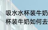 吸水水杯装牛奶怎么去除味道 吸水水杯装牛奶如何去除味道