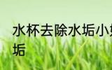 水杯去除水垢小妙招 水杯如何去除水垢