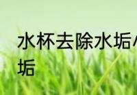 水杯去除水垢小妙招 水杯如何去除水垢