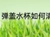 弹盖水杯如何清洗 弹盖水杯怎样清洗