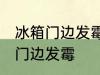 冰箱门边发霉怎么洗掉 如何解决冰箱门边发霉