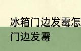 冰箱门边发霉怎么洗掉 如何解决冰箱门边发霉