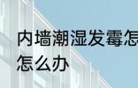 内墙潮湿发霉怎么处理 内墙潮湿发霉怎么办