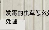 发霉的虫草怎么处理 发霉的虫草如何处理