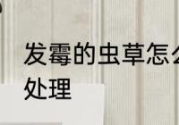 发霉的虫草怎么处理 发霉的虫草如何处理
