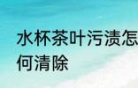 水杯茶叶污渍怎么清洗 水杯里茶渍如何清除