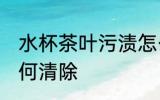 水杯茶叶污渍怎么清洗 水杯里茶渍如何清除