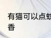 有猫可以点蚊香吗 有猫可不可以点蚊香