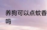 养狗可以点蚊香片吗 养狗能点蚊香片吗