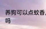 养狗可以点蚊香片吗 养狗能点蚊香片吗