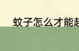 蚊子怎么才能赶走 蚊子如何驱赶
