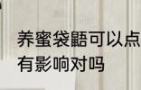 养蜜袋鼯可以点蚊香么 蚊香对蜜袋鼯有影响对吗
