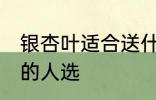 银杏叶适合送什么人 银杏叶适合送出的人选