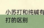 小苏打和纯碱有什么区别 纯碱和小苏打的区别