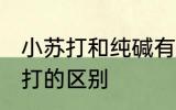 小苏打和纯碱有什么区别 纯碱和小苏打的区别
